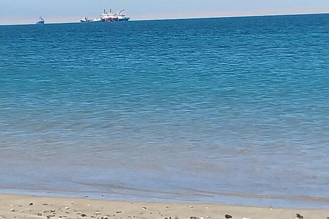 Seal Kayaking at Pelican Point from Swakopmund - Food, Drinks, and the Pace That Keeps You Smiling
