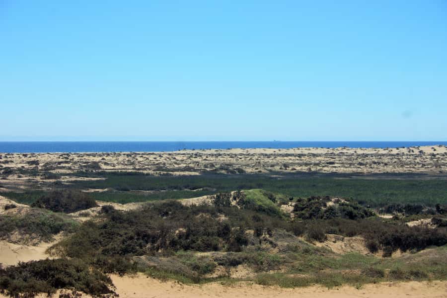 Self-Drive Guided Tour to Sandwich Harbour - Who should book this Sandwich Harbour self-drive?