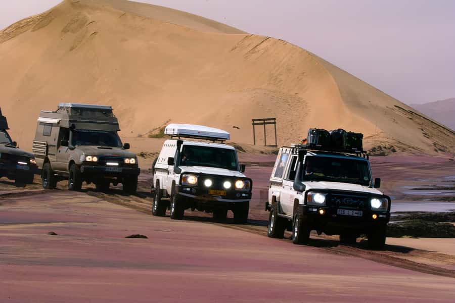 Self-Drive Guided Tour to Sandwich Harbour - Walvis Bay Lagoon: flamingos and a Ramsar stop that sets the tone