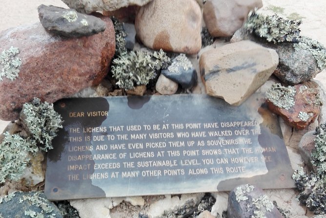 Shore Excursion - Flamingos ,Dune7,Welwitschia, Moonlandscape,Oasis,Swakopmund. - Stop 3: Welwitschia Plains, Ancient Plants Without the Guesswork