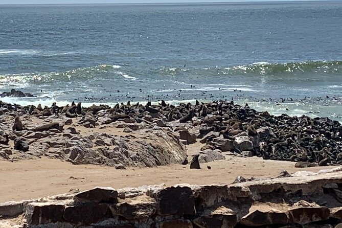 Skeleton Coast Cape Cross Seal colony Tour - The Gallows Monument stop, and why people cared about cleanliness