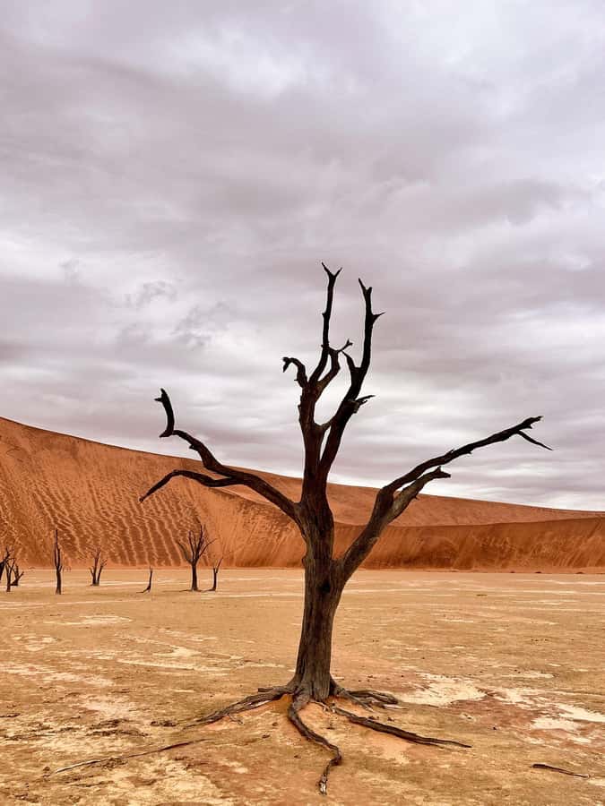 Sossusvlei: Day Trip - Quick hits before you go