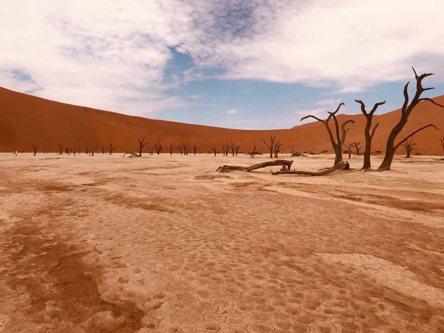 Sossusvlei: Day Trip - Route and timing: what the 4:30 AM start really means