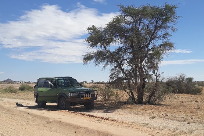Spitzkoppe Day Tour from Swakopmund - Price and value: is $204.56 fair for this route?