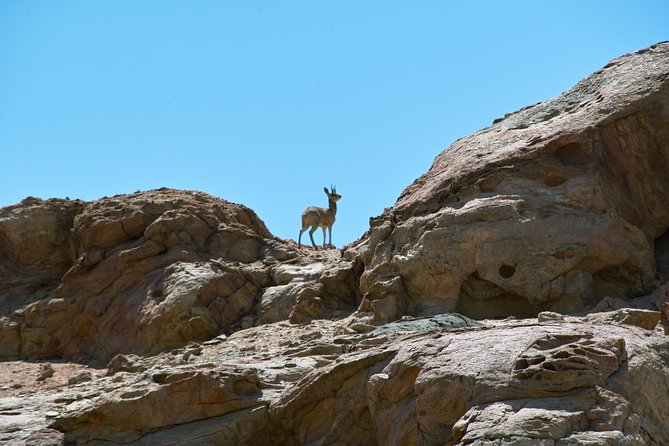 Swakop River Valley & Spitzkoppe Full Day 4x4 tour from Walvis Bay - Why This Walvis Bay 4x4 Mix of Parks and Rock Formations Works