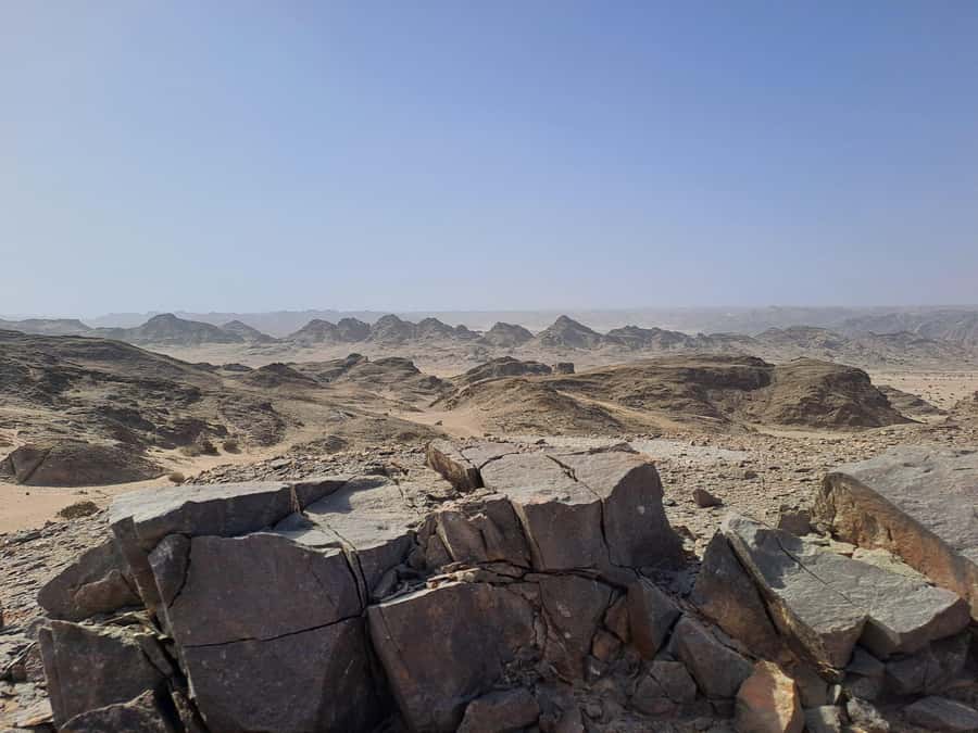 Swakopmund: Moon Valley and Namib Desert Welwitschia Tour - Getting picked up in Swakopmund without stress