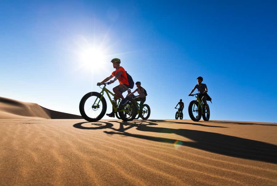 Swakopmund: Scenic Desert Bike Tour - Key highlights that matter on the ride