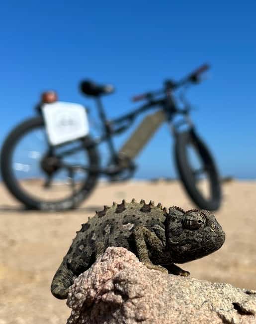 Swakopmund: "UP CLOSE" Living Desert E-FatBike Tour - Setting out from Swakopmund, then straight into desert reality