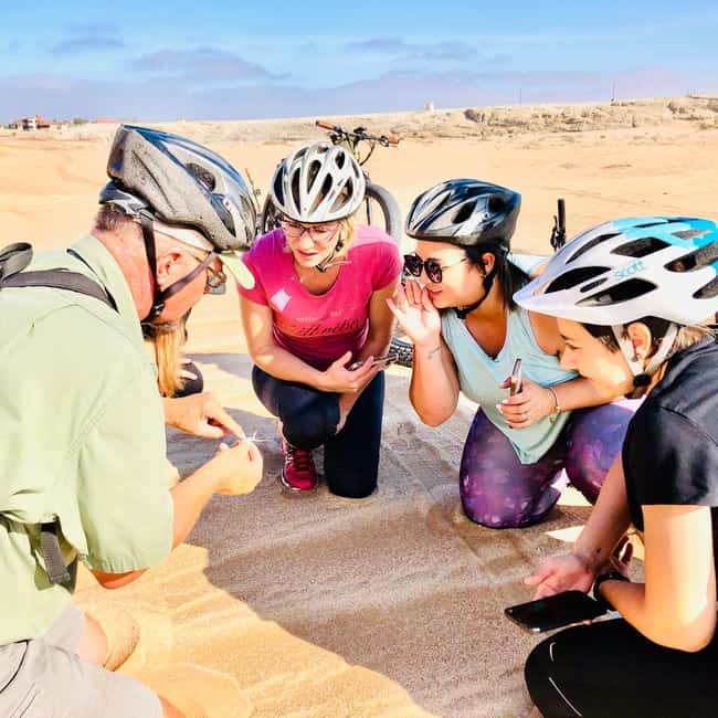 Swakopmund: "UP CLOSE" Living Desert E-FatBike Tour - Along the Swakop riverbed: where guides start teaching you to see