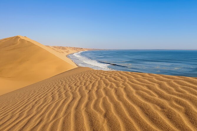 Tour to Sandwich harbour - The desert meets the Atlantic at Sandwich Harbour