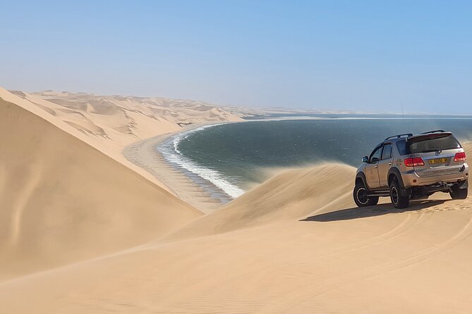 Tour to Sandwich harbour - Namib-Naukluft National Park: dunes running into the ocean