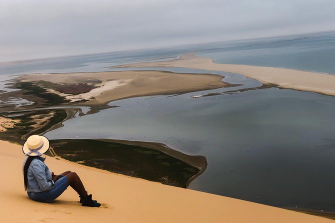 Tour to Sandwich harbour - Dorob National Park and the lagoon birds: the stop that teaches you to look