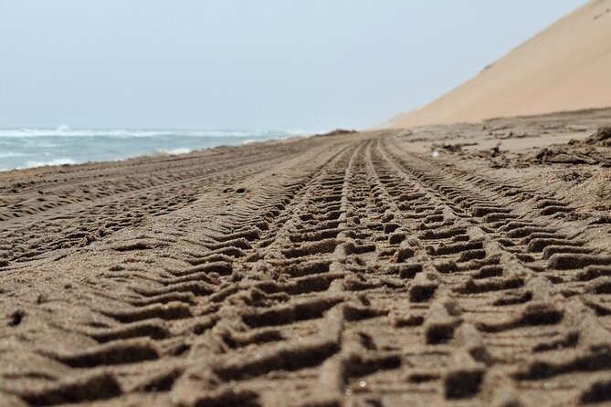 Unforgettable Half Day Adventure, Explore Sandwich Harbour - Stop 2: Sandwich Harbour Booking Area, Where the Atlantic Touches the Sand