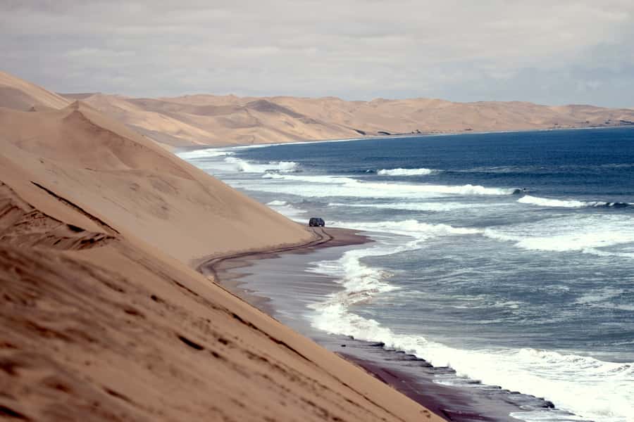 Walvis Bay: 4x4 Desert Excursion to Sandwich Harbour Bay - Wildlife spotting, what to watch for, and how to get the most out of it
