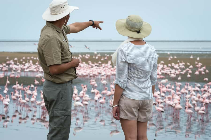 Walvis Bay: 4x4 Desert Excursion to Sandwich Harbour Bay - Where Walvis Bay’s Dunes Meet the Sea