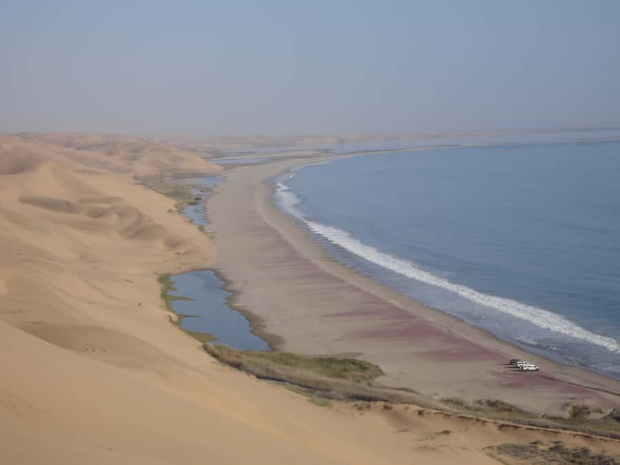 Walvis Bay: 4x4 Desert Excursion to Sandwich Harbour Bay - The dune picnic lunch with oysters and sparkling wine