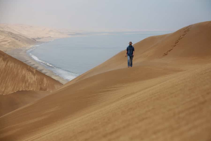 Walvis Bay: Dolphin Cruise, Pink Lakes and 4x4 Dune Drive - Key things that make this day work