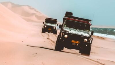 Dolphin Cruise, Pink Lakes and 4×4 Dune Drive