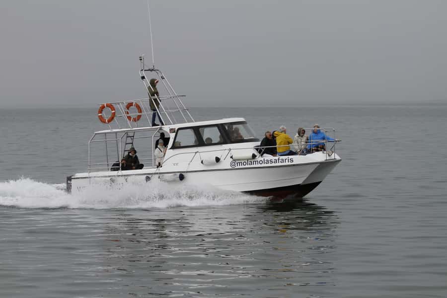 Walvis Bay: Dolphin Cruise, Pink Lakes and 4x4 Dune Drive - Sandwich Harbour by 4x4: UNESCO dunes, high views, and photo time