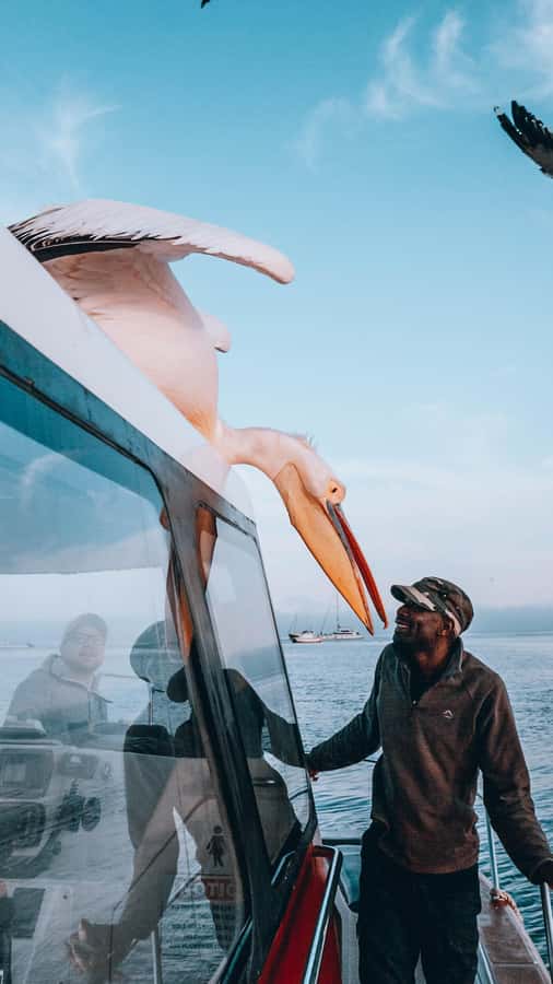 Walvis Bay: Dolphin Cruise, Pink Lakes and 4x4 Dune Drive - Price and value: what $385 per person includes (and why it matters)