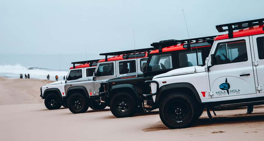 Walvis Bay: Dolphin Cruise, Pink Lakes and 4x4 Dune Drive - Getting there and what to bring for a smoother day