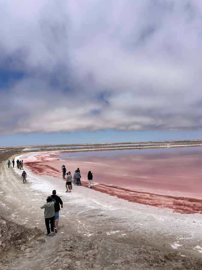 Walvis Bay: Half-Day Tour with Dune 7 and Pink Lake - Walvis Bay Lagoon: flamingos, pelicans, and photo-ready bird time