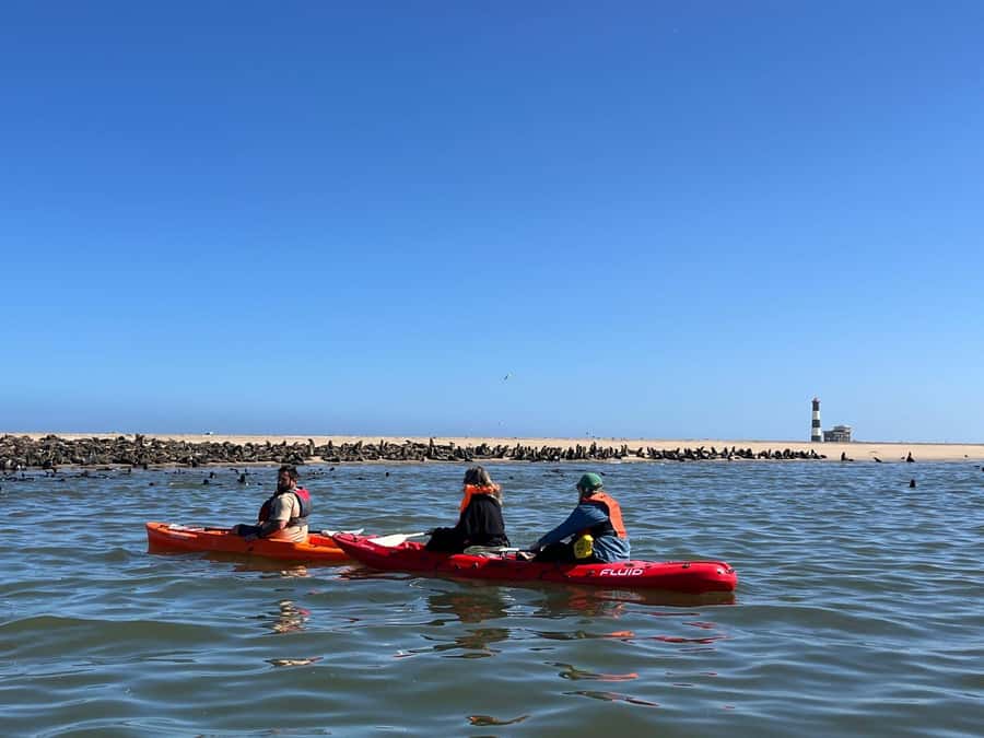 Walvis Bay: Kayaking and Sandwich Harbour Full-Day Tour - Key highlights to know before you go
