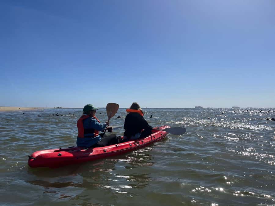 Walvis Bay: Kayaking and Sandwich Harbour Full-Day Tour - Swakopmund to Walvis Bay in the morning, with a small-group pace