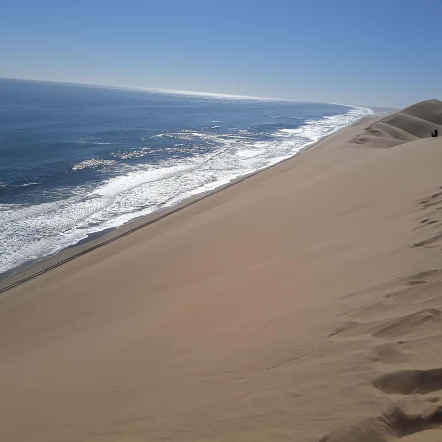 Walvis Bay: Kayaking and Sandwich Harbour Full-Day Tour - Price and value: what $224 buys you, and why it can be worth it