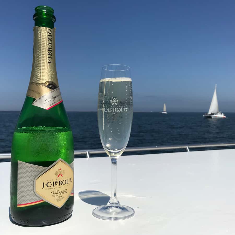 Walvis Bay: Marine Big 5 Luxury Catamaran Tour - The included lunch at sea: oysters, sparkling wine, snacks, and beer