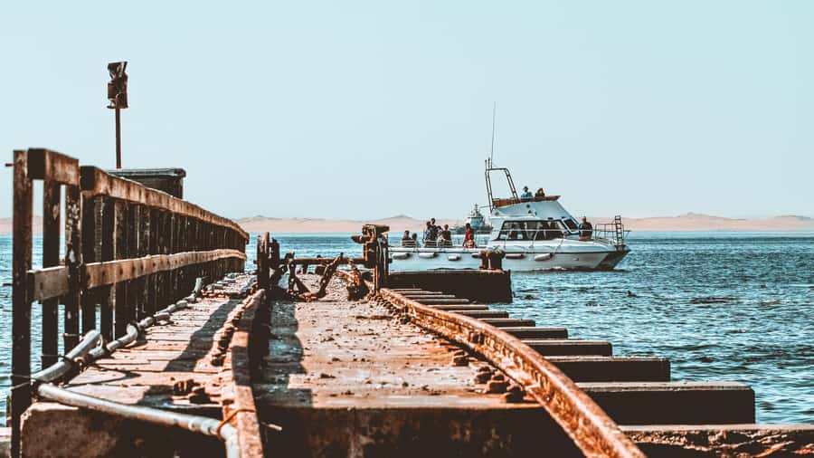 Walvis Bay: Namibian Coast Dolphin Cruise with Light Lunch - Searching for dolphins and whales, without building your day on a maybe