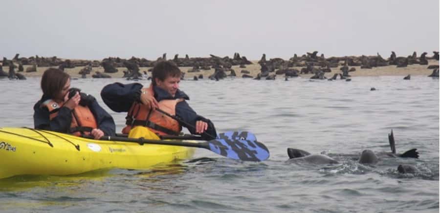 Walvis Bay: Pelican Point Kayaking Tour - Pelican Point at Walvis Bay: What Makes This Kayak Tour Special