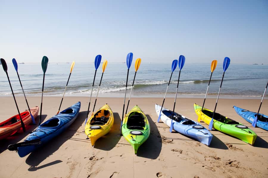 Walvis Bay: Pelican Point Kayaking Tour - Lighthouse and Shipwreck: A Scenic Side of the Paddle