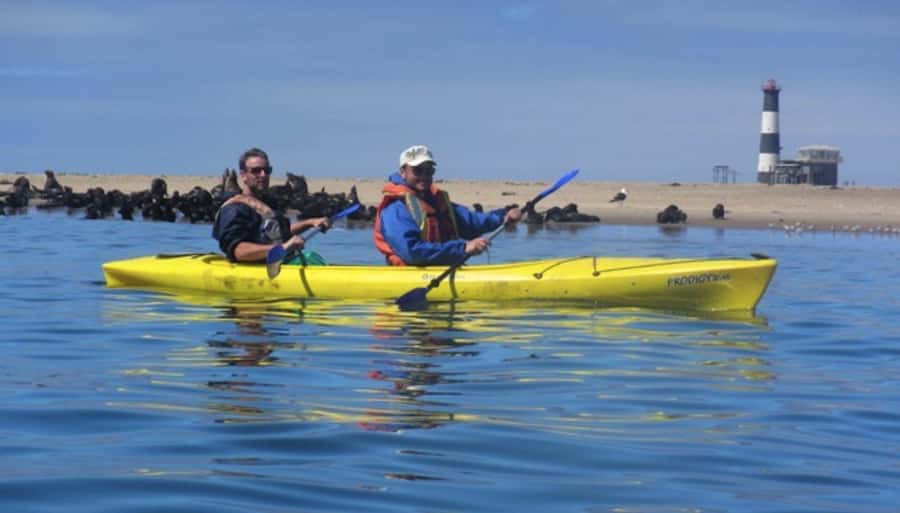 Walvis Bay: Pelican Point Kayaking Tour - The 270 Minutes Breakdown: How the Morning Flows