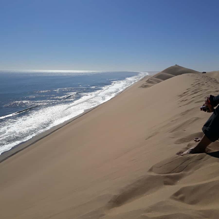 Walvis Bay: Pelican Point Seal and Sandwich Harbour Tour - So should you book this Pelican Point and Sandwich Harbour tour from Swakopmund?