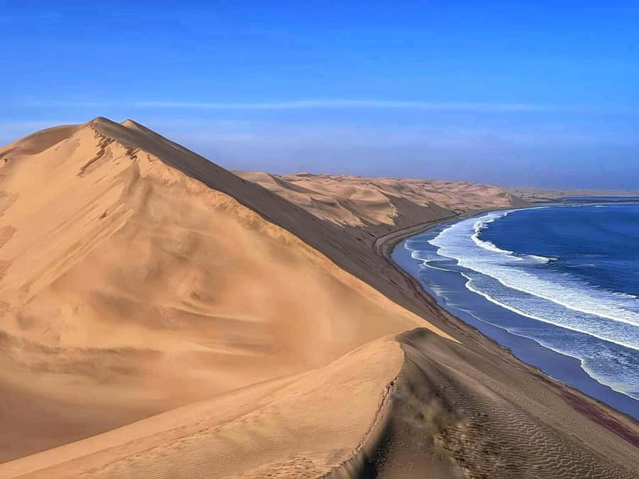Walvis Bay: Sandwich Harbour Half-Day 4x4 Scenic Excursion - Key things to love about this Walvis Bay 4x4 to Sandwich Harbour