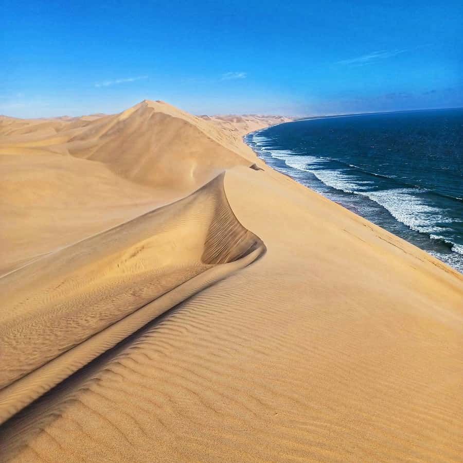 Walvis Bay: Sandwich Harbour Half-Day 4x4 Scenic Excursion - The desert picnic lunch: simple, timed well, and actually enjoyable
