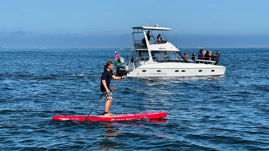 Walvis Bay: Seal Kayaking Adventure with Brunch - The kayaking portion, how to get the best seal moments
