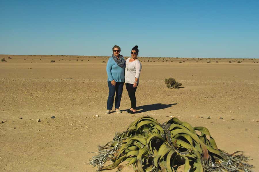 Walvis Bay Shore Excursion: Flamingos, Dune 7, Swakopmund - What to bring (and what to avoid) for a smooth cruise day