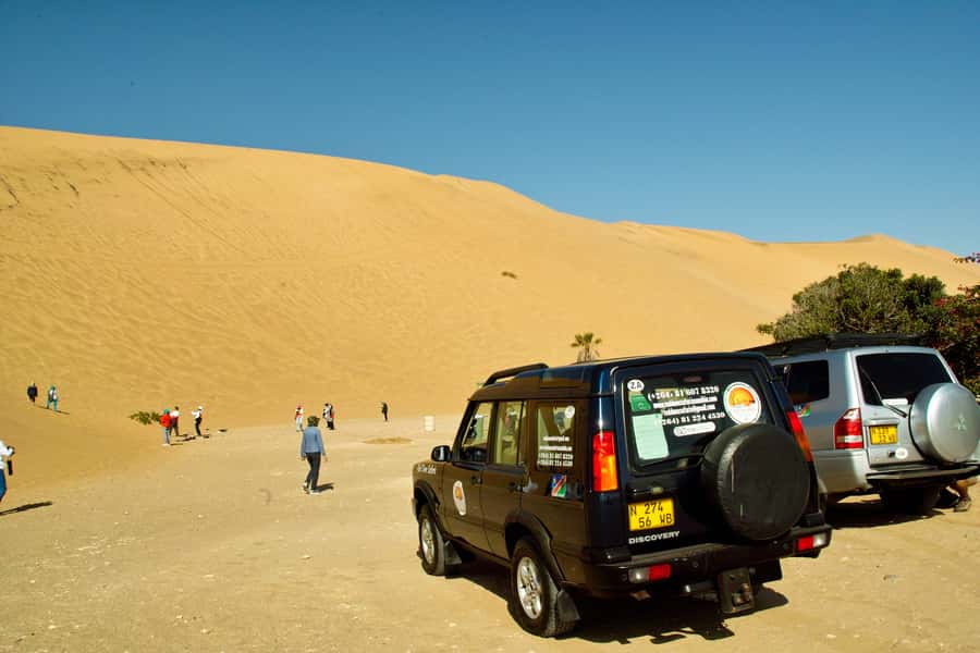Walvis Bay Shore Excursion: Flamingos, Dune 7, Swakopmund - Who this tour suits best, and who should skip it