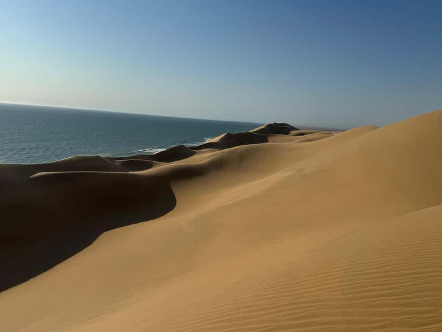 Walvisbay: Sandwich Harbour SUNSET Tour-End It Beautifully - Guides, humor, and why comfort makes the difference