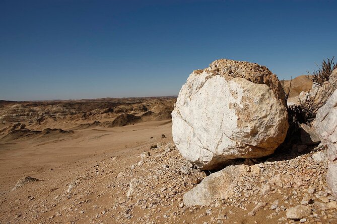 Welwitschia Tour from Swakopmund - The 4-hour plan from Swakopmund, without the wasted time