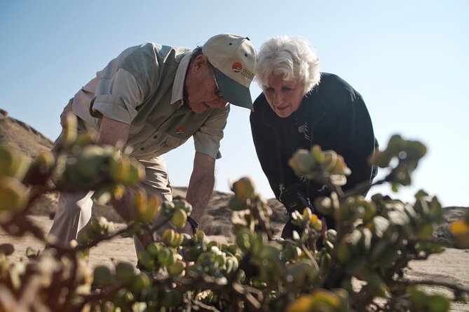 Welwitschia Tour from Swakopmund - What you learn on the way: desert survival, explained in plain language
