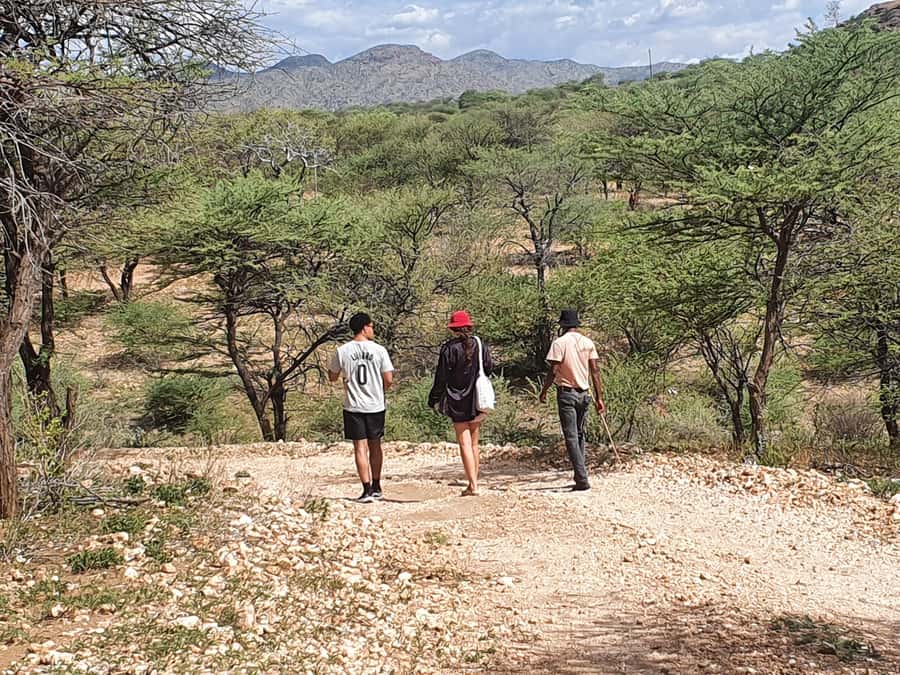 Windhoek: Bushman Walk with the San - Why Windhoek Makes This Bushwalk Feel Special