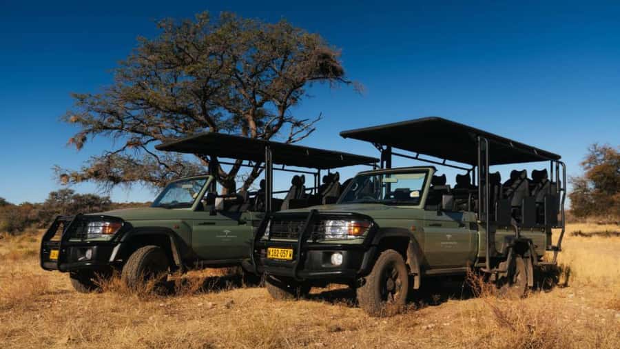 Zannier Game Drive with Hotel Pickup - Key highlights to look forward to