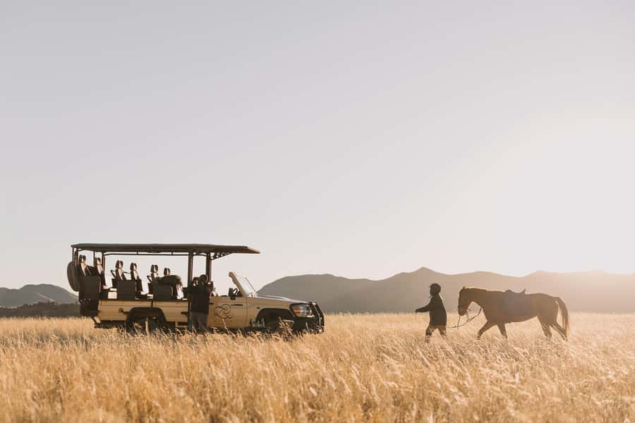 Zannier Game Drive with Hotel Pickup - 3.5 hours on the clock, with an easy Windhoek pickup